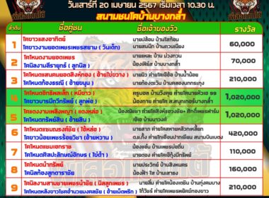 โปรแกรมวัวชน สนามบ้านบางกล่ำ วันที่20/4 2567