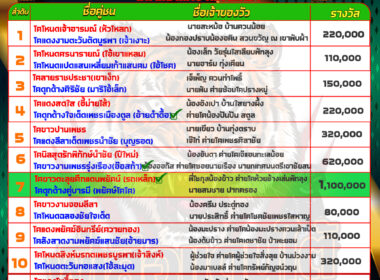 ทีเด็ดวัวชน วันที่24/4/67 สนามบ้านท่ามิหร่ำ