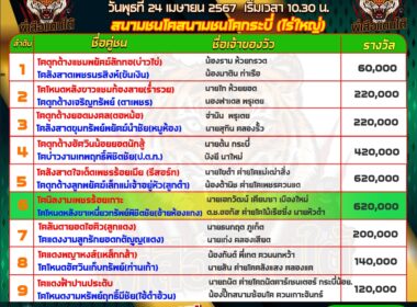 วันที่24/4/67 โปรแกรมวัวชน สนามกระบี่(ไร่ใหญ่)