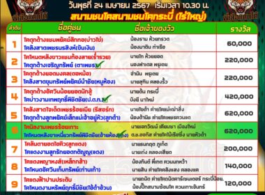 ทีเด็ดวัวชน วันที่24/4/67 สนามไร่ใหญ่ (กระบี่)