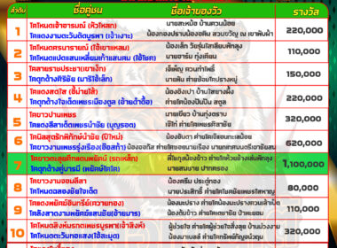 วันที่24/4/67 โปรแกรมวัวชน สนามบ้านท่ามิหรำ