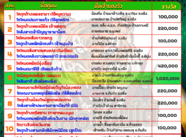 วันที่10/5/67 โปรแกรมวัวชน สนามนครตรัง