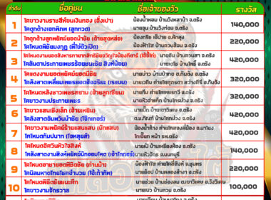 วันที่09/05/67 โปรแกรมวัวชน สนามชนโคนครตรัง