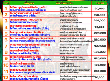 วันที่09/05/67 โปรแกรมวัวชน สนามชนโคบ้านนาทวี