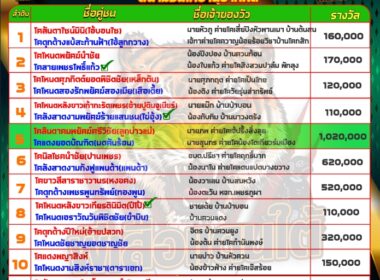 ทีเด็ดวัวชน วันที่13/05/67 สนามชนโคบ้านปากพล