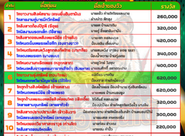 วัวชน วันที่27/05/67 โปรแกรมวัวชน สนามชนโคหนองบัวใหญ่