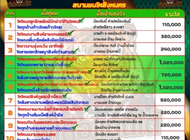 ทีเด็ดวัวชน วันที่13/05/67 สนามชนโคบ้านสิงหนคร