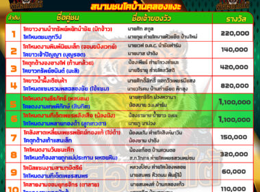 วันที่12/05/67 โปรแกรมวัวชน สนามชนโคบ้านคลองแงะ