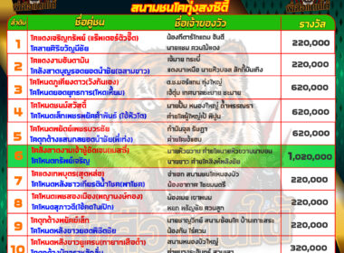 วันที่19/05/67 โปรแกรมวัวชน สนามชนโคทุ่งสงชิตี้