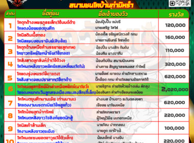 วัวชน วันที่24/05/67 โปรแกรมวัวชน สนามชนโคบ้านท่ามิหรำ