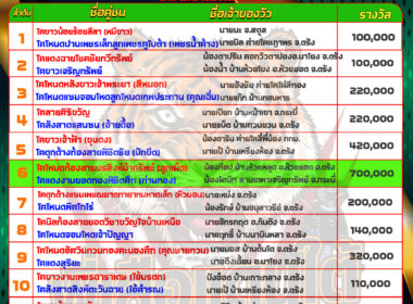 วันที่8/5/67 โปรแกรมวัวชน สนามนครตรัง