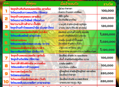 วันที่17/05/67 โปรแกรมวัวชน สนามชนโคบ้านนาทราย