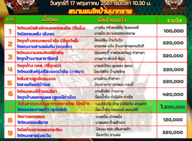 วันที่17/05/67 โปรแกรมวัวชน สนามชนโคบ้านนาทราย