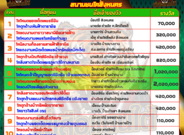 วันที่11/05/67 โปรแกรมวัวชน สนามชนโคบ้านสิงหนคร