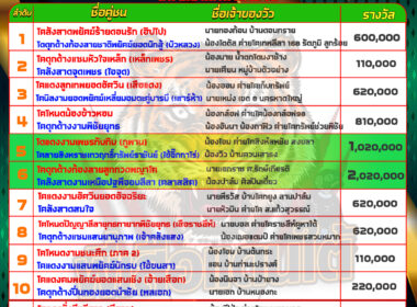 วัวชน วันที่26/05/67 โปรแกรมวัวชน สนามชนโคนานาชาติ