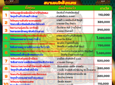 วันที่13/05/67 โปรแกรมวัวชน สนามชนโคสิงหนคร