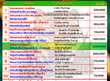 วัวชน วันที่29/05/67 โปรแกรมวัวชน สนามชนโคสมหวัง สเตเดี๊ยม