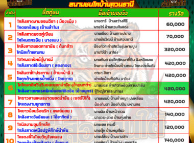 วัวชน วันที่20/05/67 โปรแกรมวัวชน สนามชนโคบ้านควนธานี