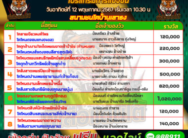 วันที่12/05/67 โปรแกรมวัวชน สนามชนโคบ้านเสาธง