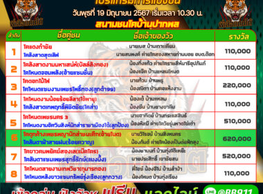 วัวชน วันที่19/06/67 โปรแกรมวัวชน สนามชนโคบ้านปากพล