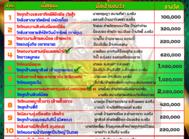 ทีเด็ดวัวชน วันที่11/06/67 สนามชนโคนครตรัง