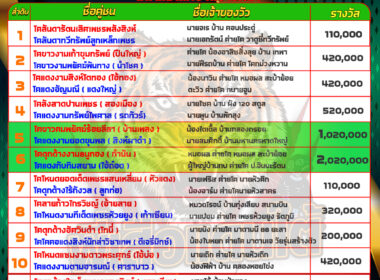 วัวชน วันที่15/06/67 โปรแกรมวัวชน สนามชนโคบ้านบางกล่ำ