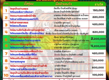 วัวชน วันที่20/06/67 โปรแกรมวัวชน สนามชนโคทุ่งโพธิ์ สเตเดี๊ยม