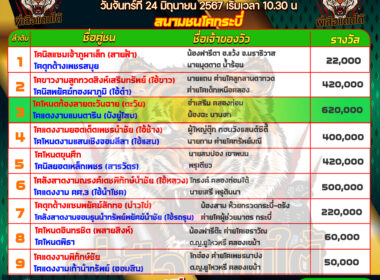 วัวชน วันที่24/06/67 โปรแกรมวัวชน สนามชนโคกระบี่