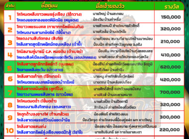 วัวชน วันที่17/06/67 โปรแกรมวัวชน สนามชนโคบ้านท่าหรั่ง