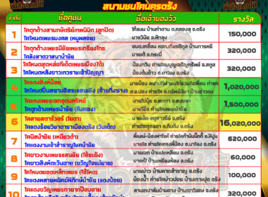 วัวชน วันที่08/06/67 โปรแกรมวัวชน สนามชนโคนครตรัง