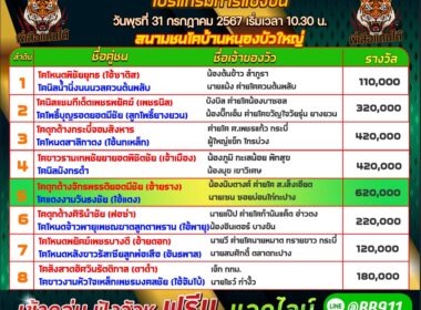 วัวชน วันที่31/07/67 โปรแกรมวัวชน สนามชนโคบ้านหนองบัวใหญ่