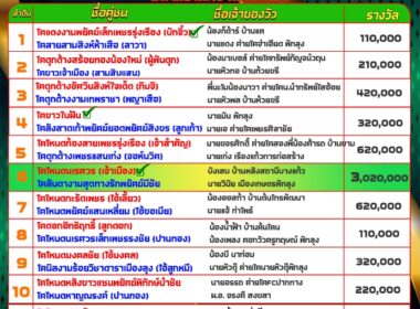 ทีเด็ดวัวชน วันที่23/07/67 สนามชนโคบ้านท่ามิหรำ