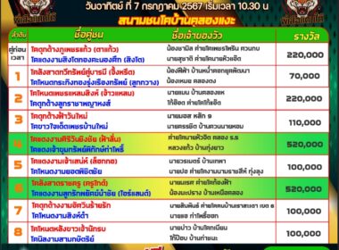 วัวชน วันที่07/07/67 โปรแกรมวัวชน สนามชนโคบ้านคลองแงะ