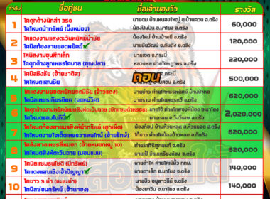 ทีเด็ดวัวชน วันที่06/07/67 สนามชนโคนครตรัง