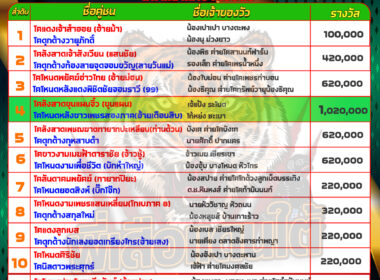 วัวชน วันที่08/07/67 โปรแกรมวัวชน สนามชนโคบ้านบ่อล้อ