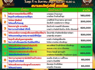 วัวชน วันที่14/08/67 โปรแกรมวัวชน สนามชนโคทุ่งโพธิ์ สเตเดี๊ยม