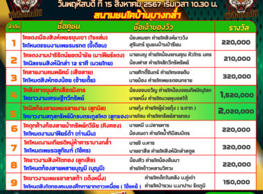 วัวชน วันที่15/08/67 โปรแกรมวัวชน สนามชนโคบ้านบางกล่ำ