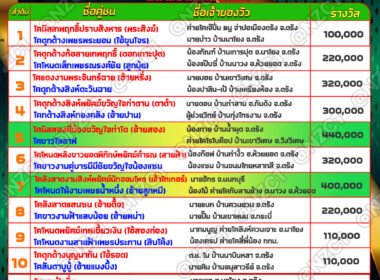 วัวชน วันที่07/08/67 โปรแกรมวัวชน สนามชนโคนครตรัง