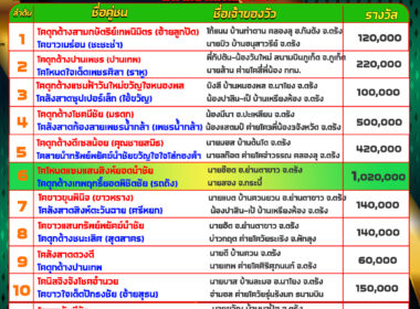 วัวชน วันที่06/08/67 โปรแกรมวัวชน สนามชนโคสิงหนคร