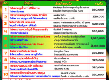 วัวชน วันที่28/08/67 โปรแกรมวัวชน สนามชนโคบ้านหนองบัวใหญ่