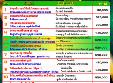 วัวชน วันที่29/08/67 โปรแกรมวัวชน สนามชนโคบ้านหนองบัวใหญ่