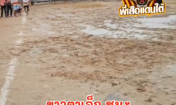 คลิปวัวชนย้อนหลัง ผลการชน ขาวทรัพย์อนุชาลำนารายณ์ (ตาเล็ก)  VS ลังสาดงามบุญบารมี (ไอ้ทองเหลือง)