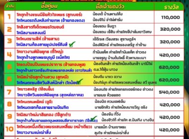 ทีเด็ดวัวชน วันที่01/09/67 สนามชนโคบ้านหยีใน