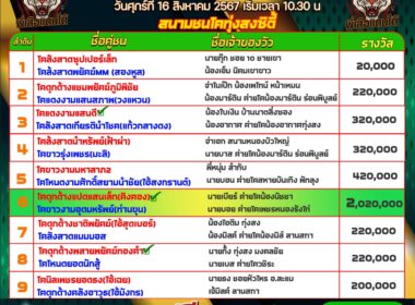 ทีเด็ดวัวชน วันที่16/08/67 สนามชนโคทุ่งสง ซิตี้