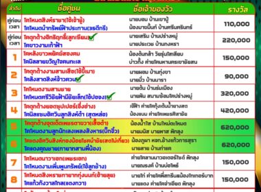 ทีเด็ดวัวชน วันที่23/08/67 สนามชนโคบ้านท่ามิหรำ