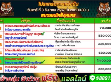 ทีเด็ดวัวชน วันที่03/08/67 สนามชนโคสิงหนคร