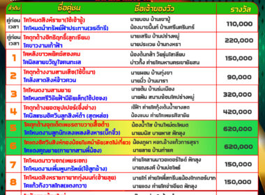 วัวชน วันที่23/08/67 โปรแกรมวัวชน สนามชนโคบ้านท่ามิหรำ