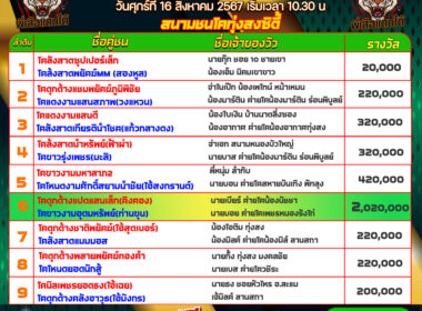 วัวชน วันที่16/08/67 โปรแกรมวัวชน สนามชนโคทุ่งสง ซิตี้