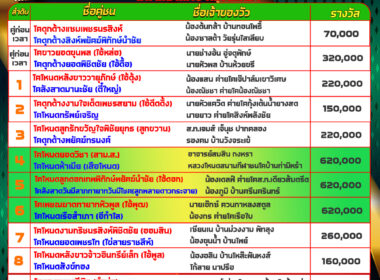 วัวชน วันที่22/08/67 โปรแกรมวัวชน สนามชนโคบ้านท่ามิหรำ