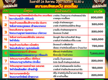 วัวชน วันที่24/08/67 โปรแกรมวัวชน สนามชนโคสมหวัง สเตเดี๊ยม